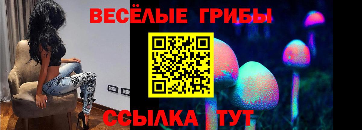 Озёрск  где продают наркотики  Вход с VPN  Псилоцибиновые грибы мицелий 